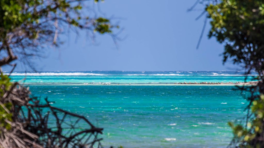 Bonaire | Isla penthouse & garden apartments