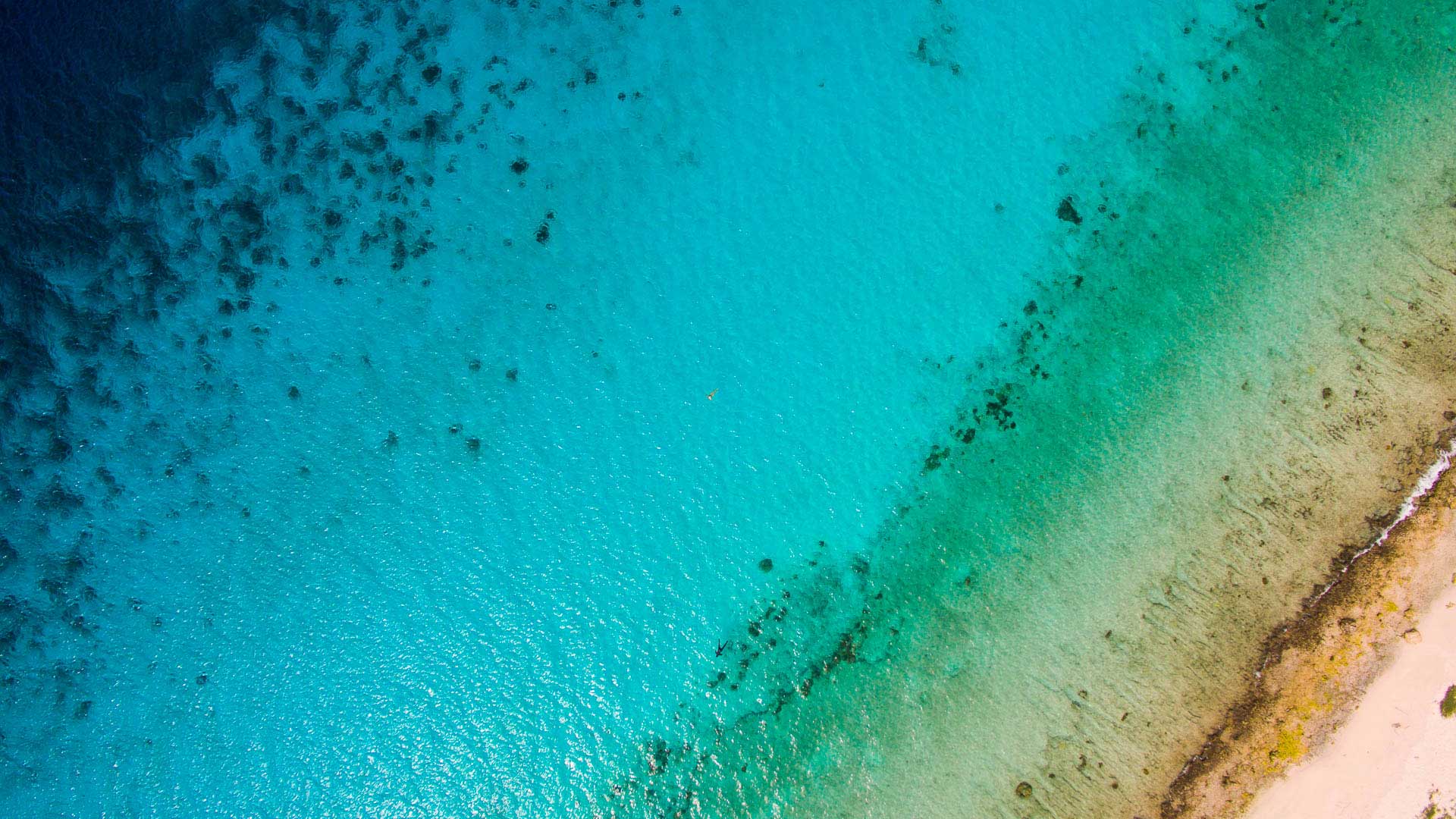 Image showcasing Luxury apartments with fitness center / gym for sale in Borgio Verezzi ...